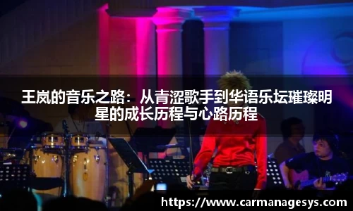 王岚的音乐之路：从青涩歌手到华语乐坛璀璨明星的成长历程与心路历程