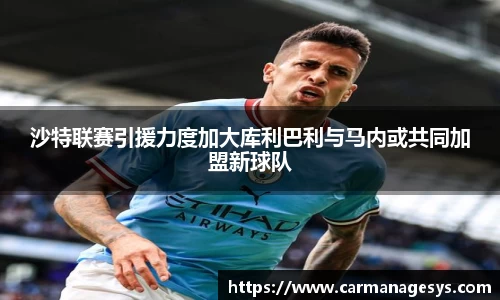 米兰milan官方网站