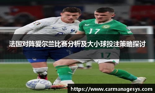 法国对阵爱尔兰比赛分析及大小球投注策略探讨