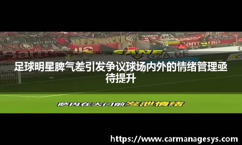 足球明星脾气差引发争议球场内外的情绪管理亟待提升