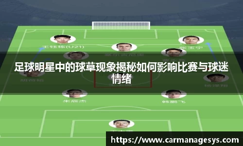 足球明星中的球草现象揭秘如何影响比赛与球迷情绪