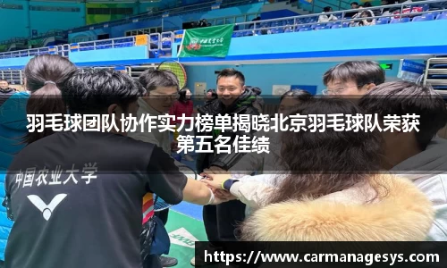 羽毛球团队协作实力榜单揭晓北京羽毛球队荣获第五名佳绩
