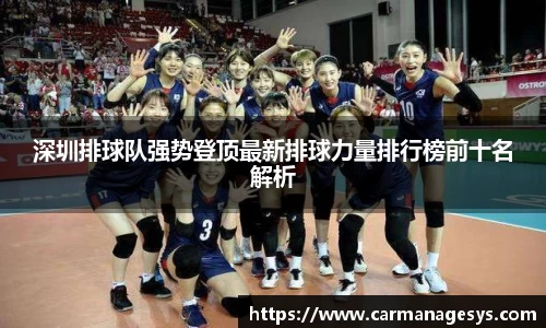 深圳排球队强势登顶最新排球力量排行榜前十名解析